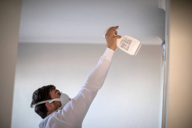 Best Water Damage Restoration  in Fairlea, WV