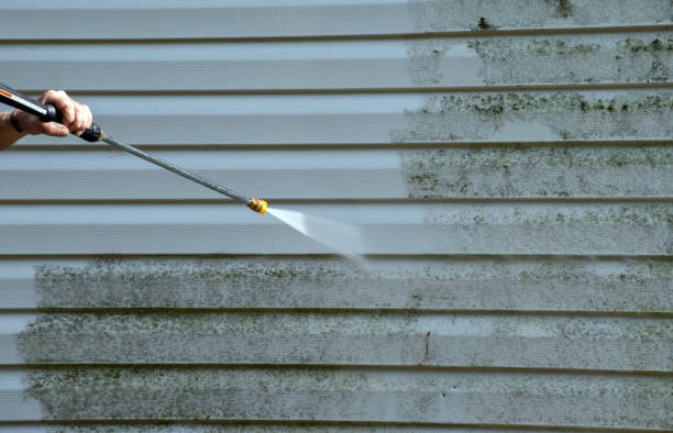 Best Office Mold Removal Services  in Fairlea, WV
