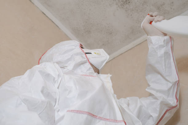 Best Certified Mold Removal  in Fairlea, WV